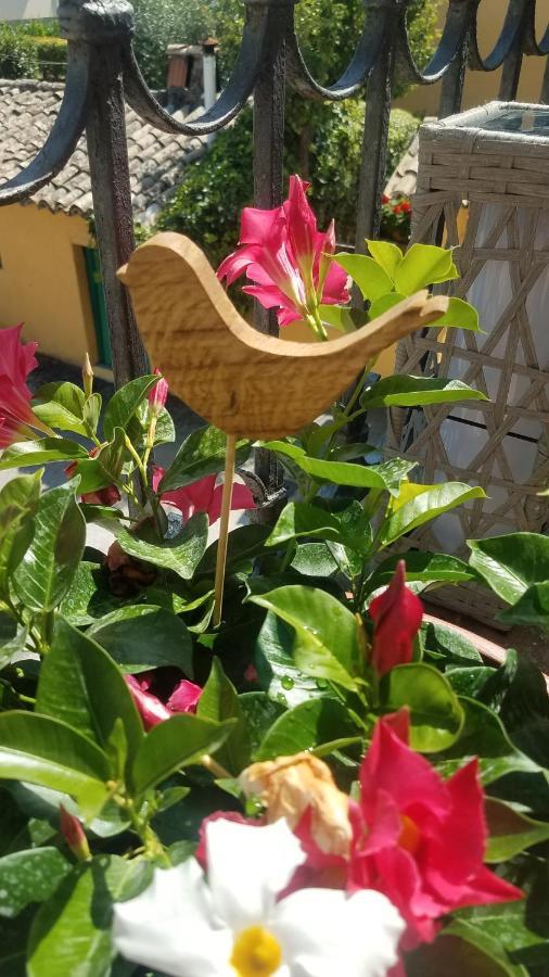 Appartamento Palma Spello Ngoại thất bức ảnh