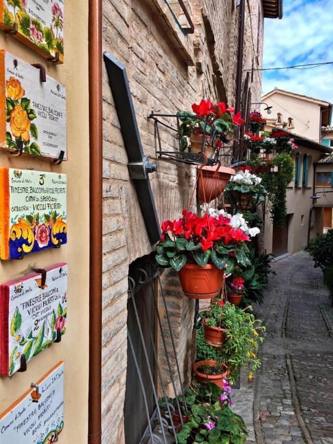 Appartamento Palma Spello Ngoại thất bức ảnh